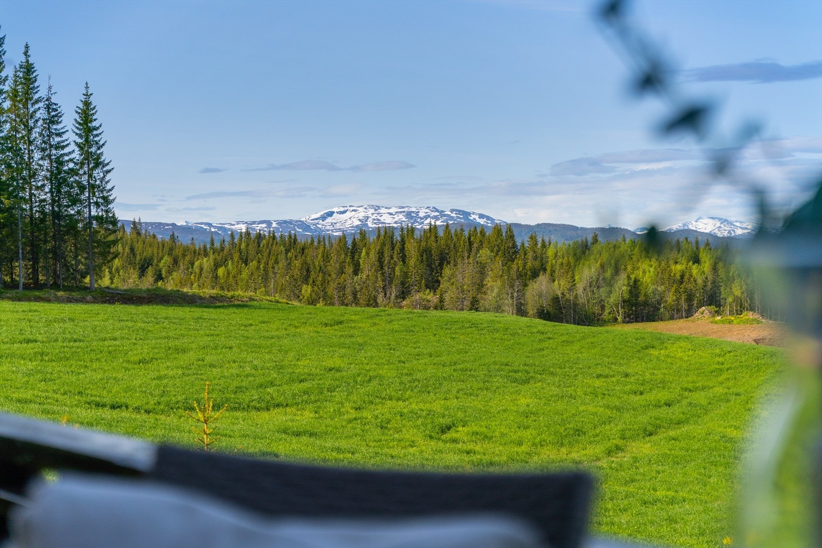 Her har du en fantastisk utsikt og mye uteareal du kan benytte deg av. Galleribilde