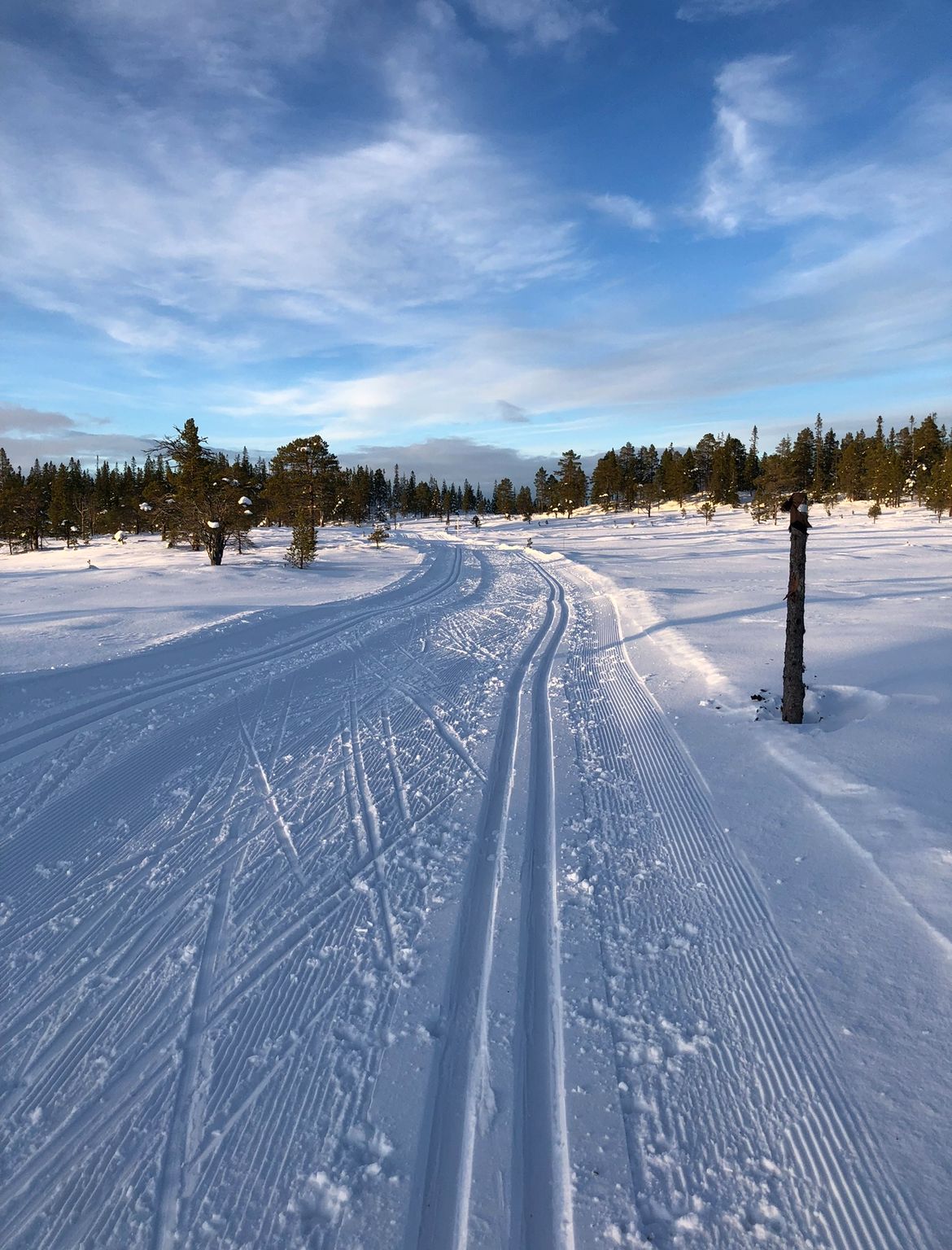 Bilde tatt av selger: Det er godt skiltet i hele området. Galleribilde