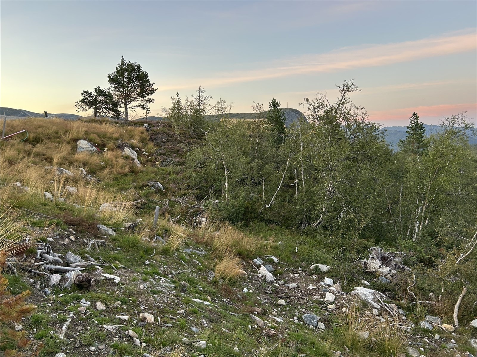 Tomten ligger fritt og fint til med nydelig utsikt Galleribilde