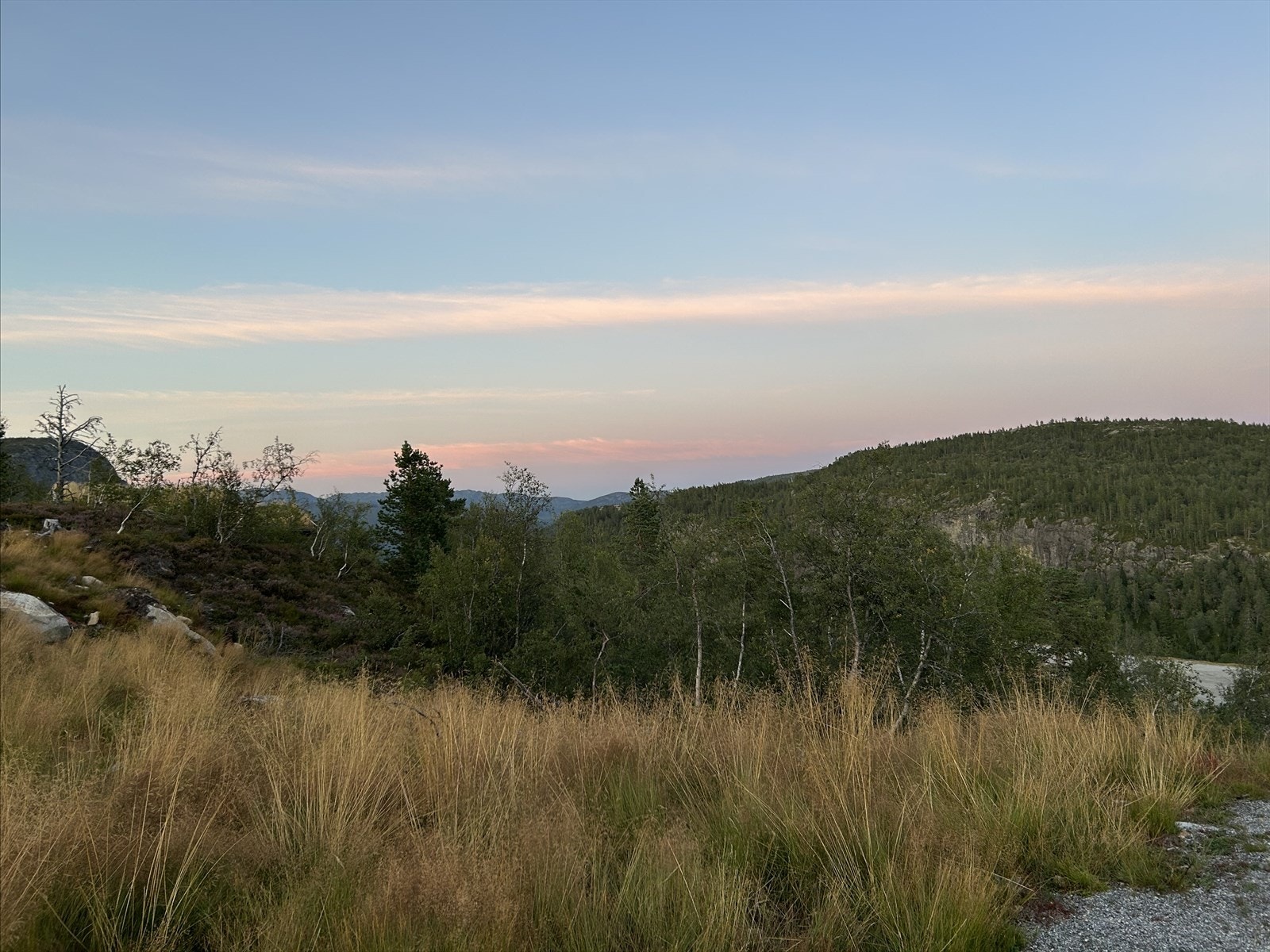 Velkommen til på Vardefjellvegen - flott tomt presentert av Gaute Kverneland i Aktiv Kristiansand Galleribilde