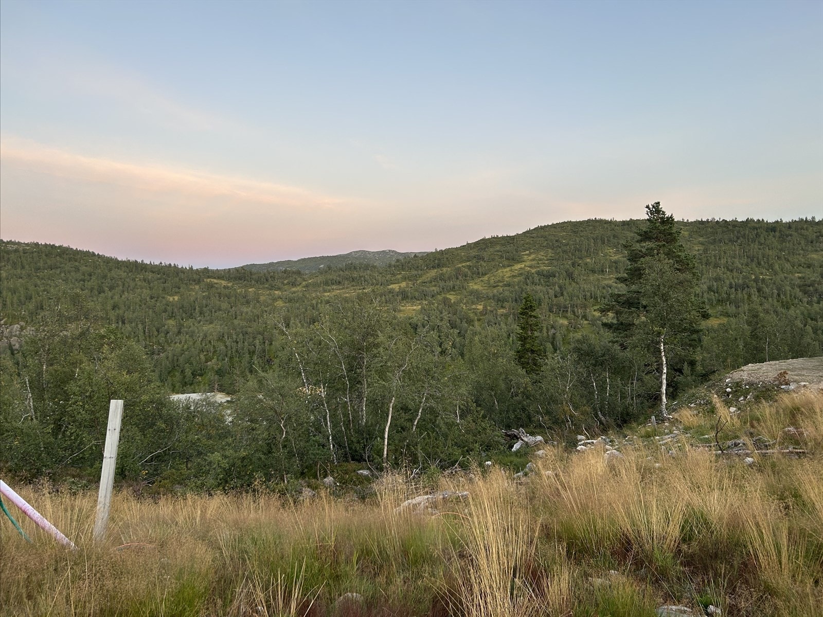 Utsikt mot fjellheimen Galleribilde
