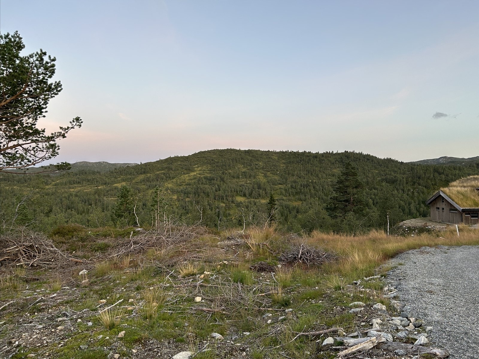 Romslig tomt på ca 1 mål Galleribilde