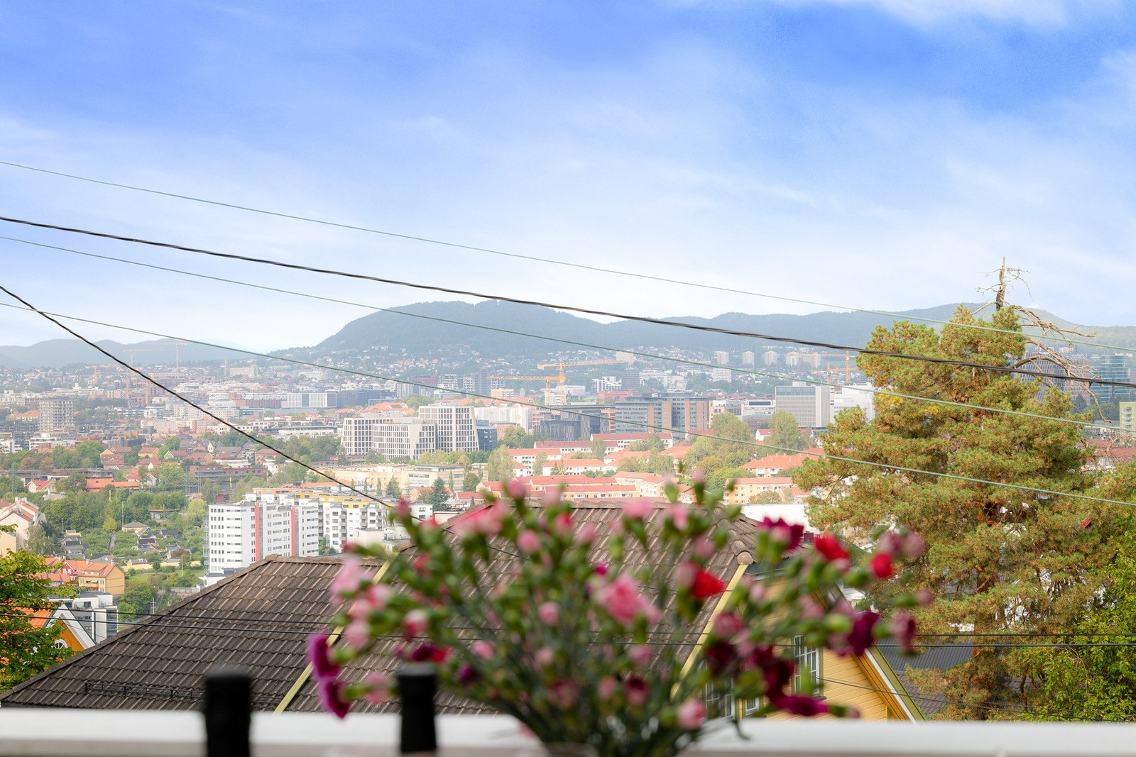 Store vinduer gir flott utsikt og rikelig med naturlig lys. Galleribilde