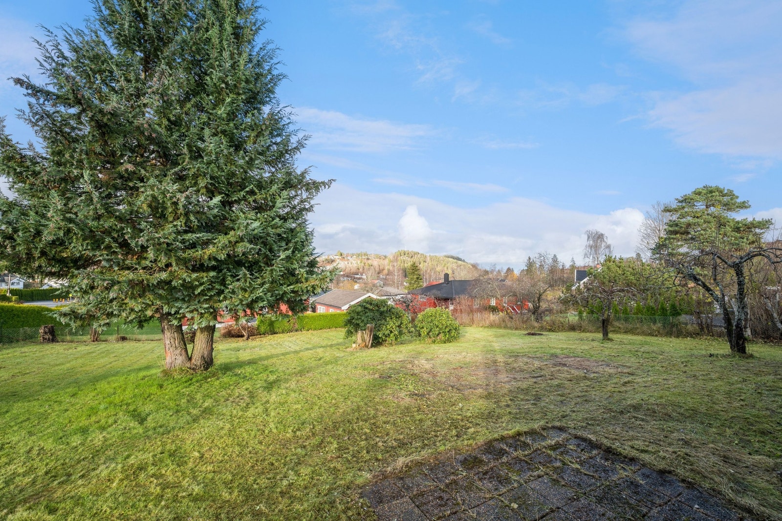Fantastiske solforhold i hagen på sommeren Galleribilde