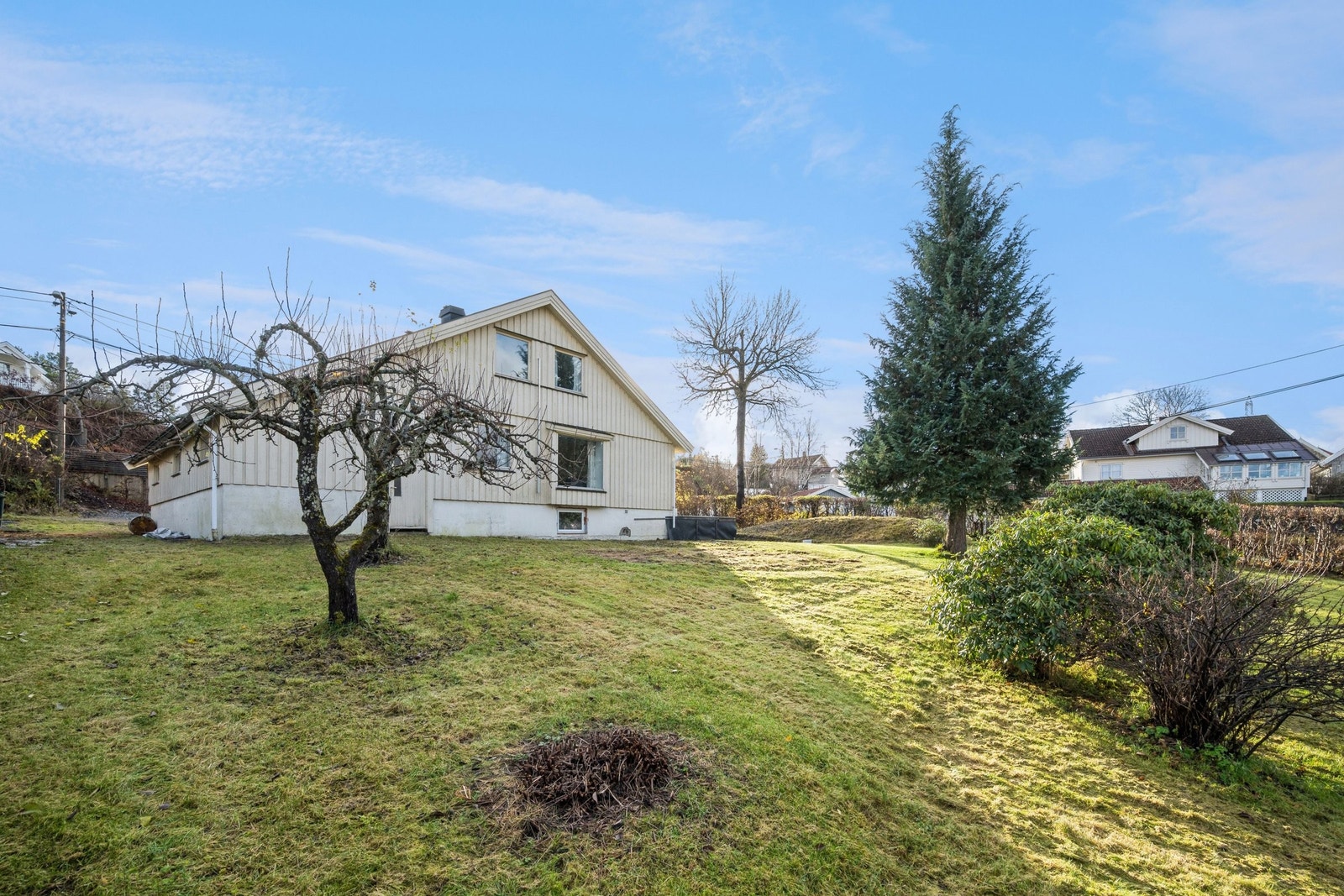 Stor hage med flere typer frukt og bær Galleribilde