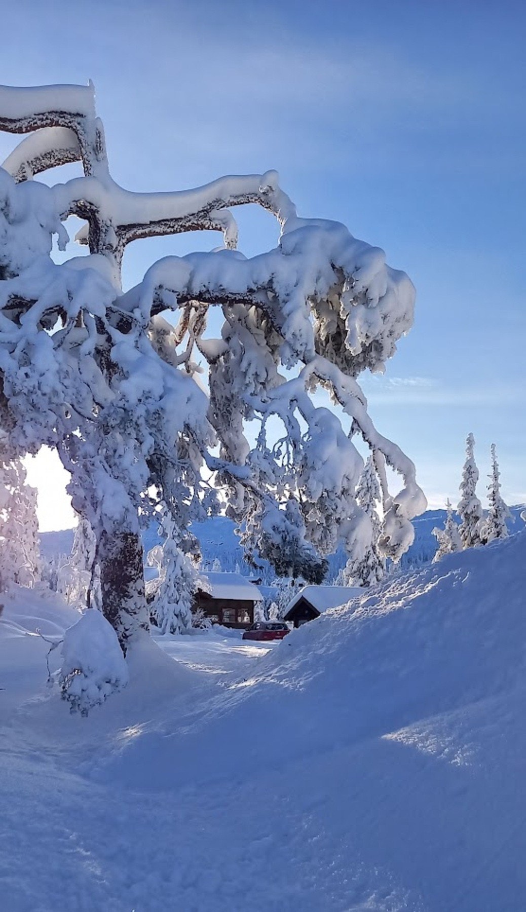 Privat bilde - Rikelig med snø i vintersesongen Galleribilde