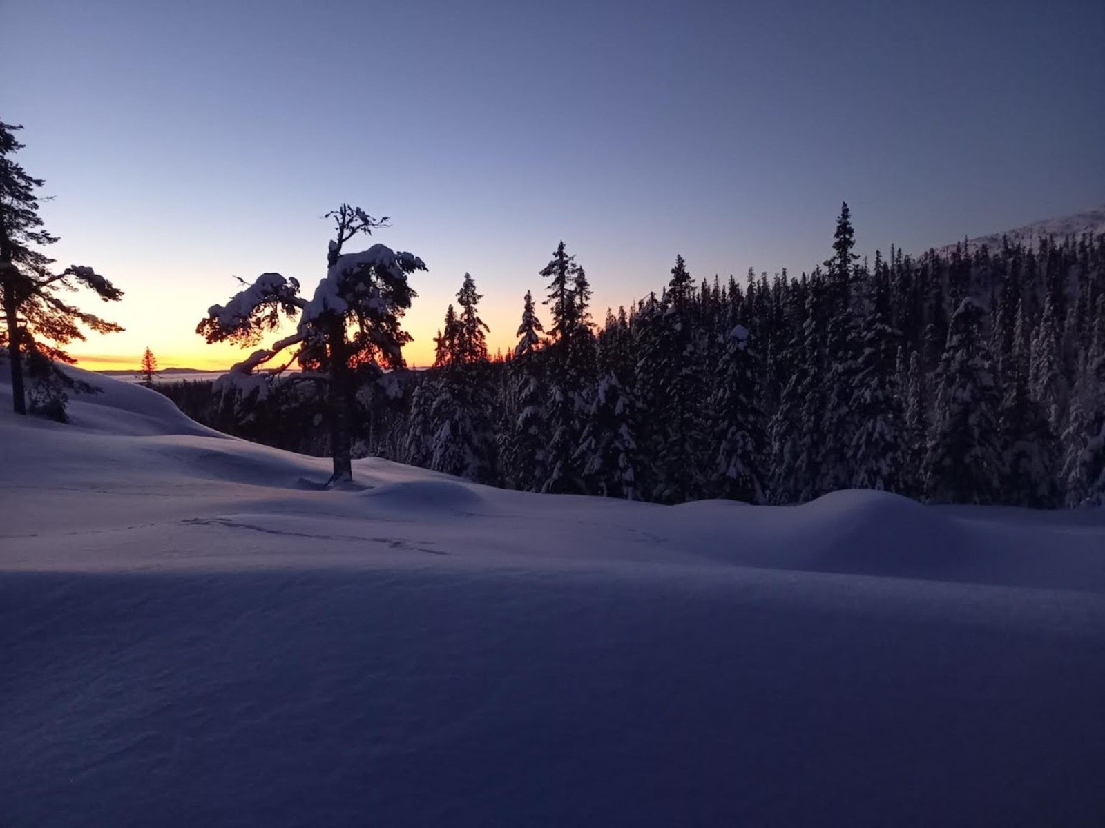 Privat bilde - Vinterstemning sett fra hyttevindu Galleribilde