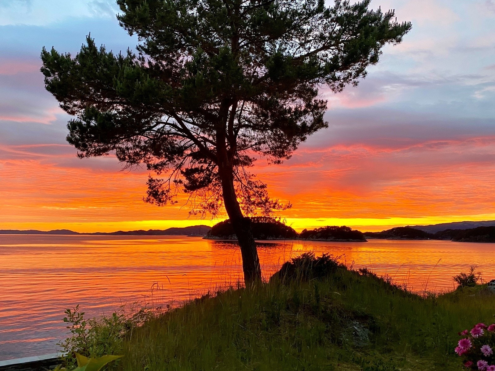 Der solen aldri går ned Galleribilde