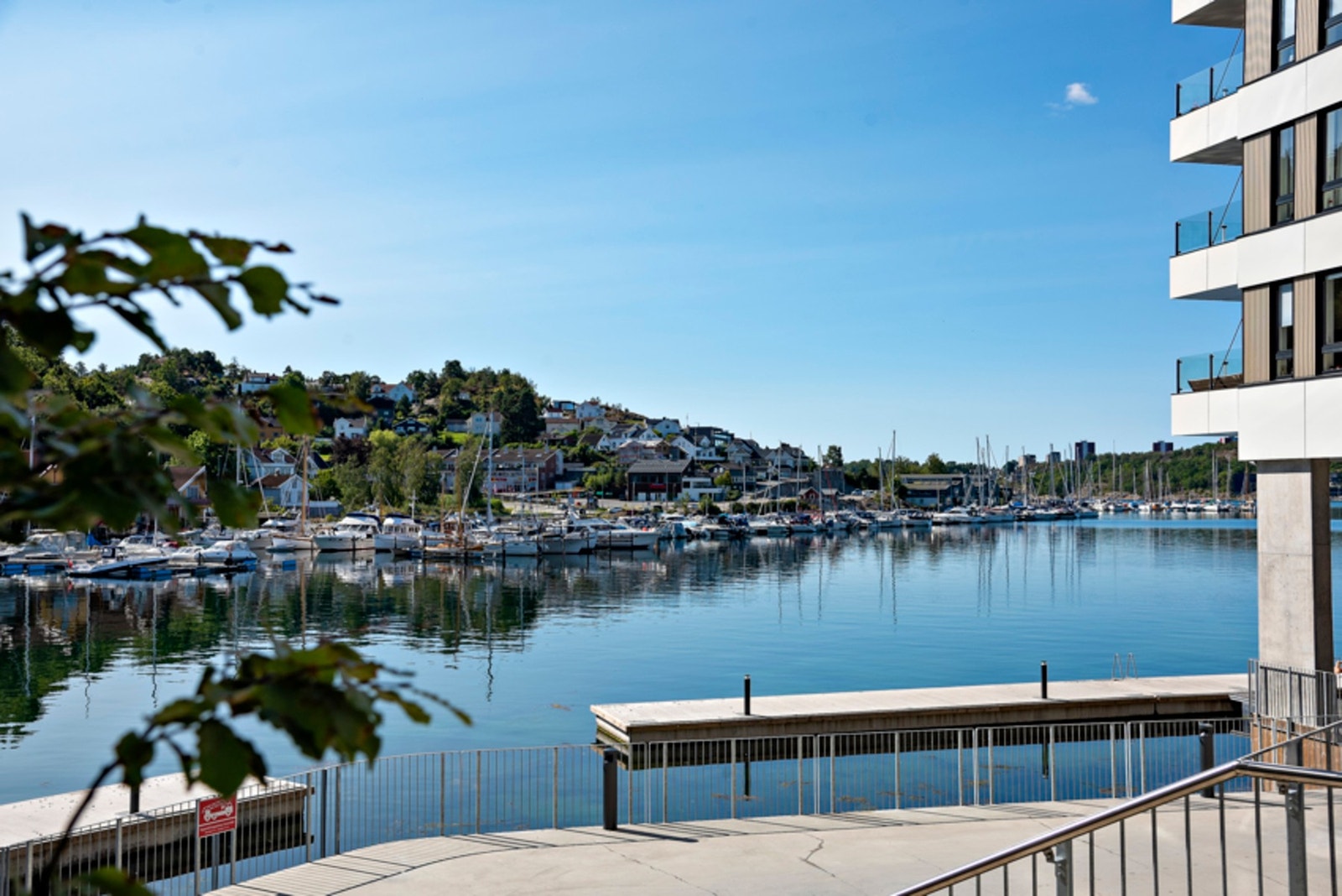 Gå ned til vannet og ta deg et morgenbad Galleribilde