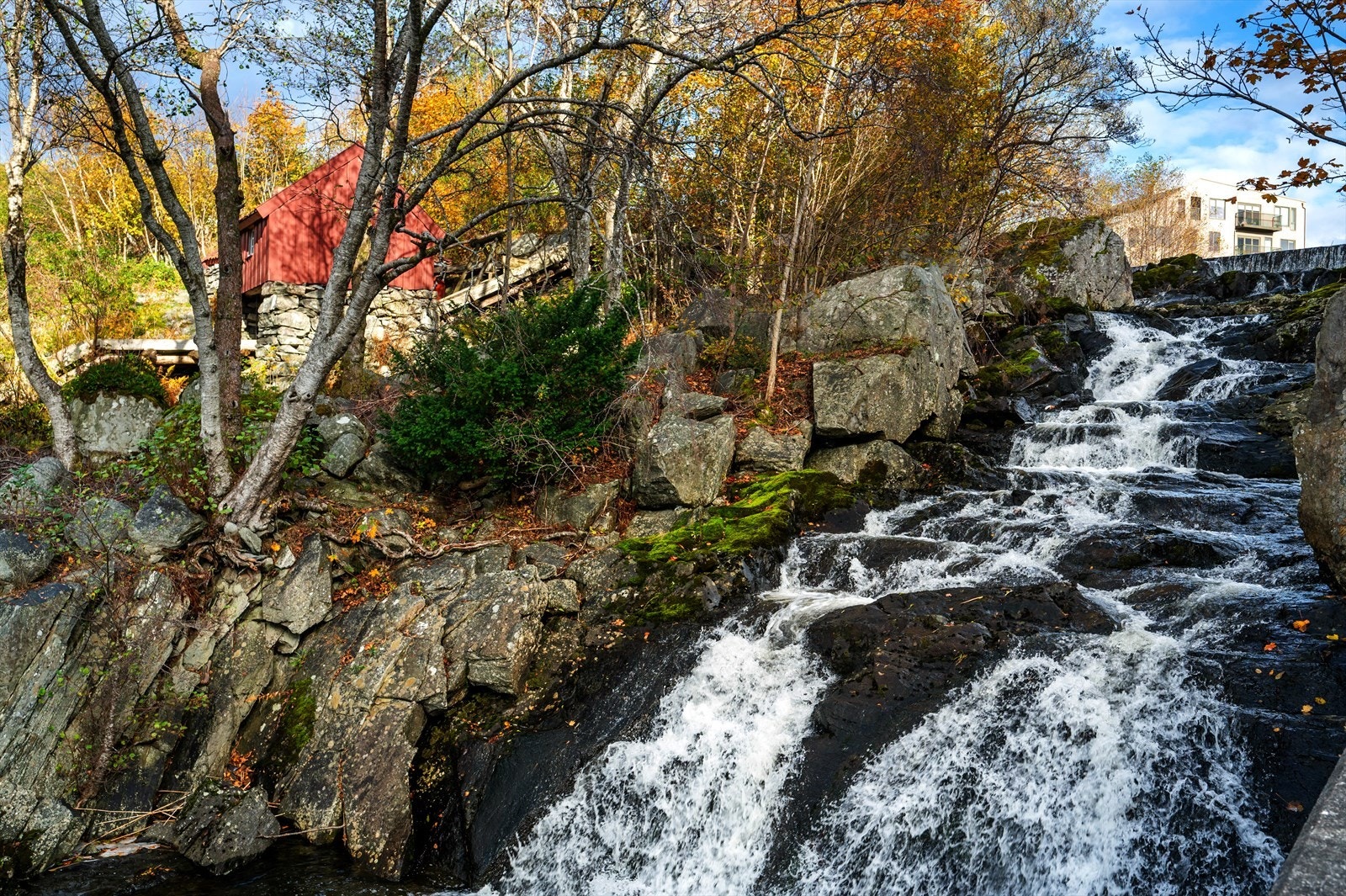 HDR_5836.jpg Galleribilde