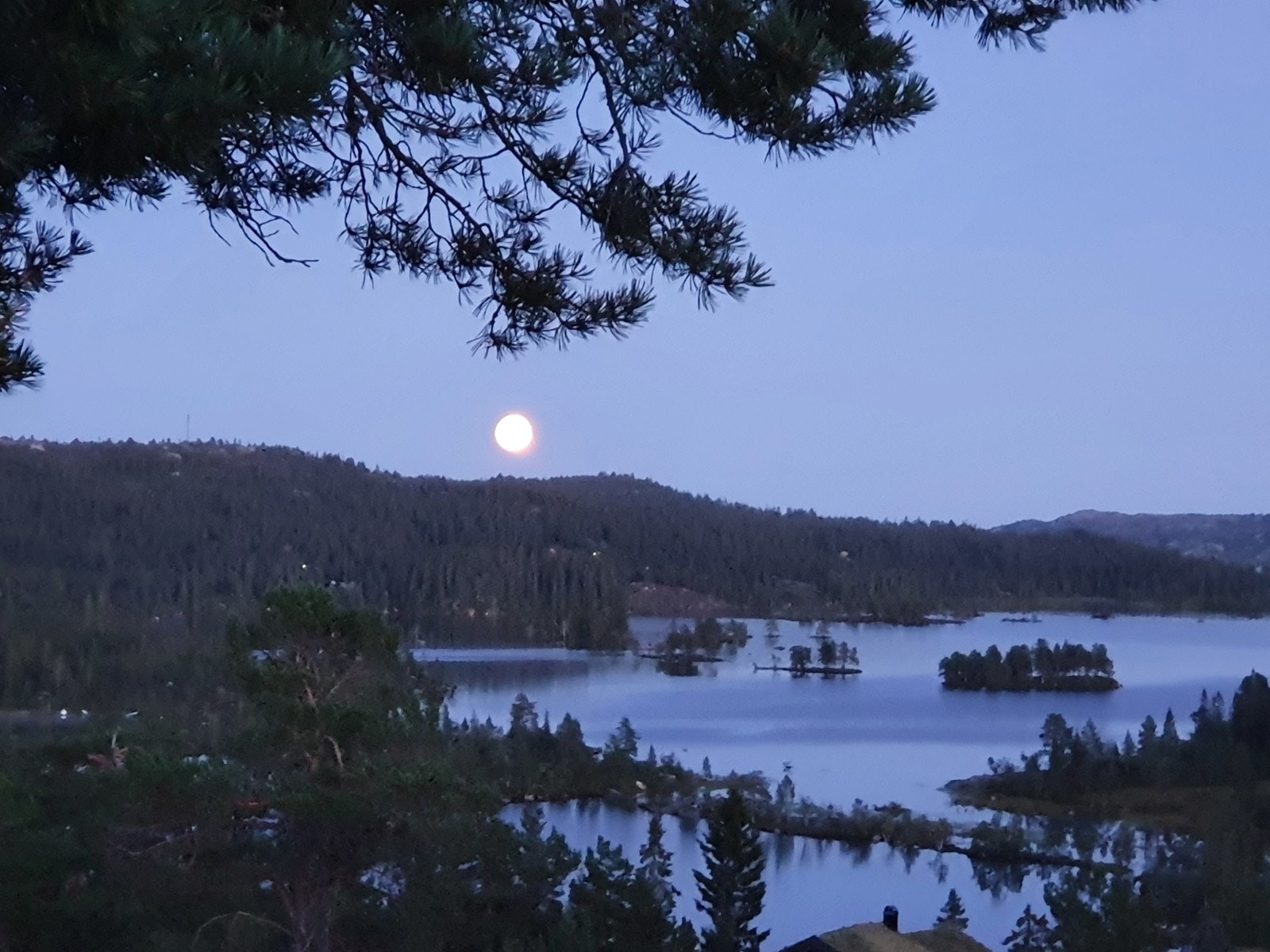 Selgers bilde Galleribilde