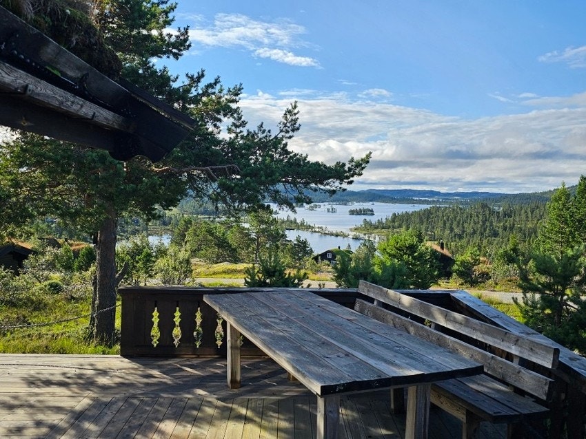 Selgers bilde Galleribilde