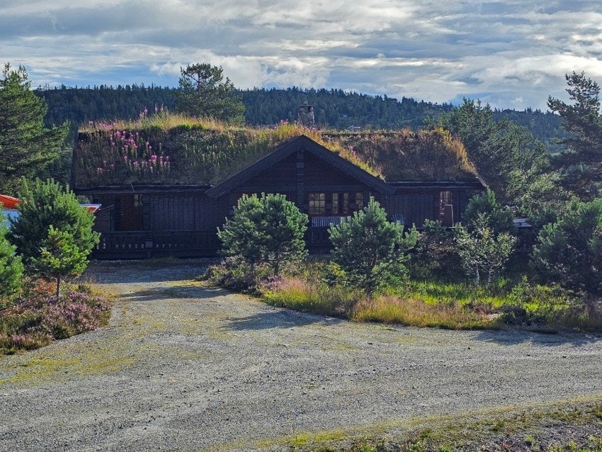 Selgers bilde Galleribilde