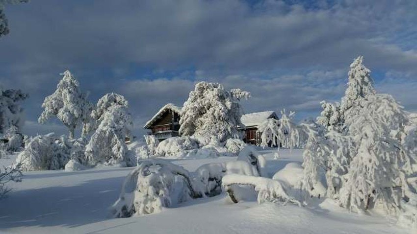 Selgers bilde Galleribilde