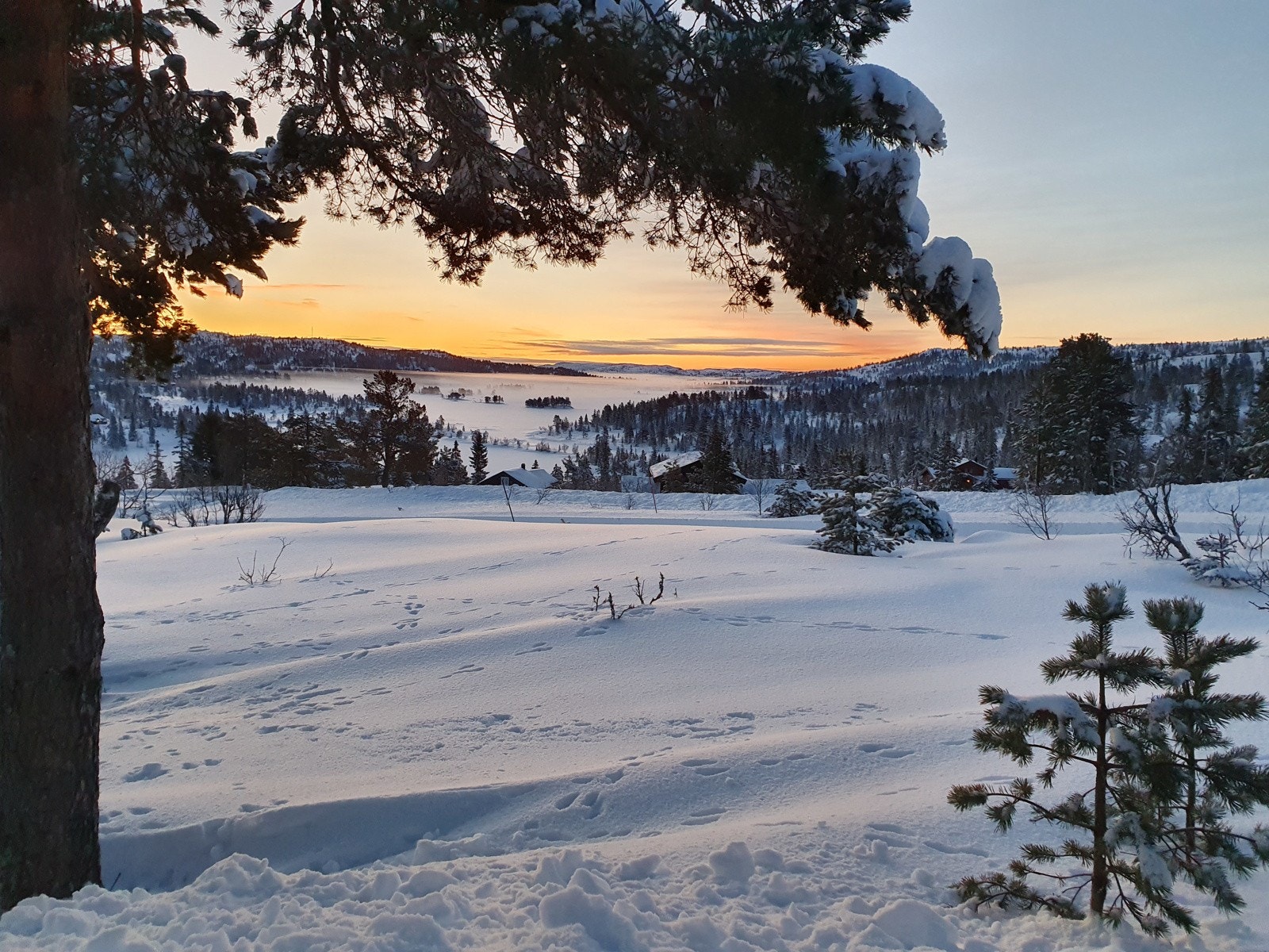 Selgers bilde Galleribilde