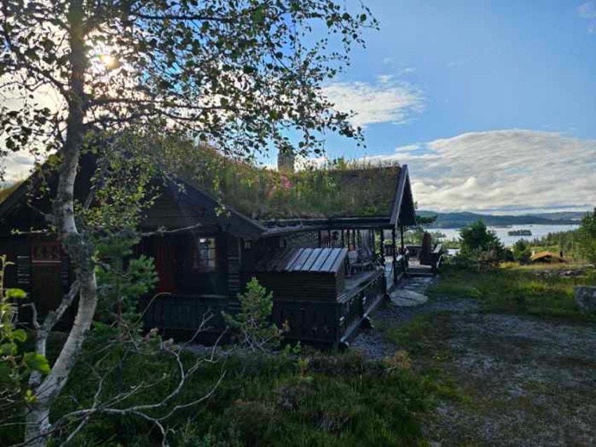 Selgers bilde Galleribilde