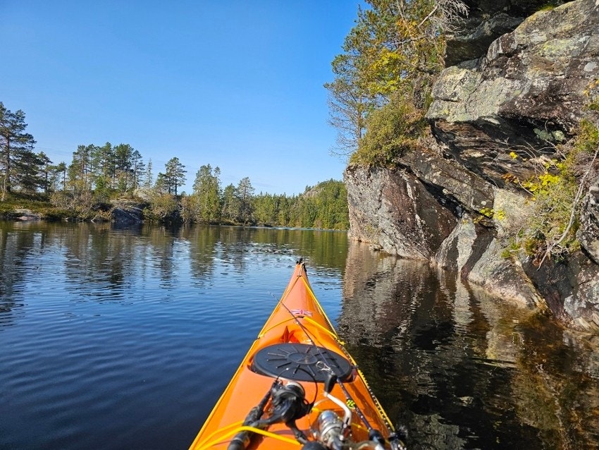 Selgers bilde Galleribilde