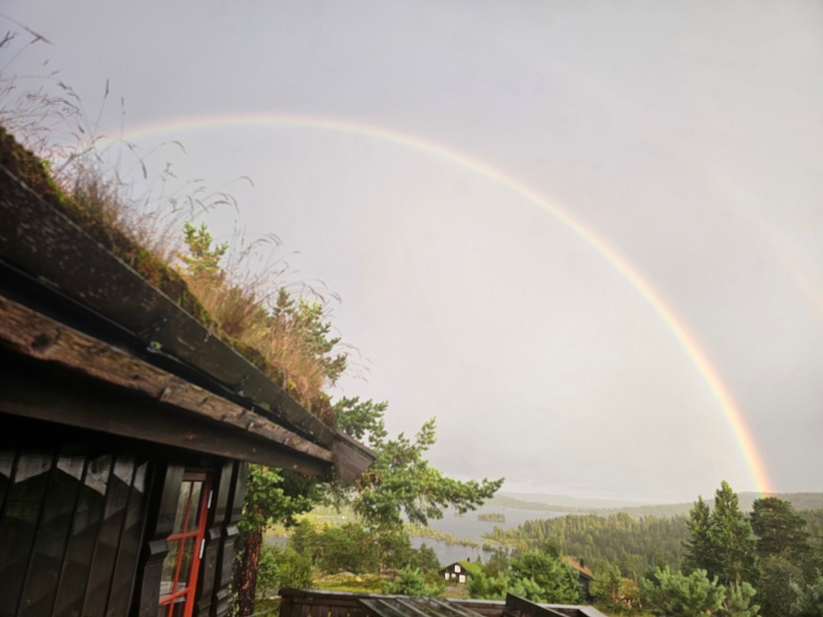 Selgers bilde Galleribilde