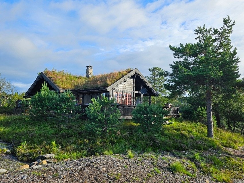 Selgers bilde Galleribilde