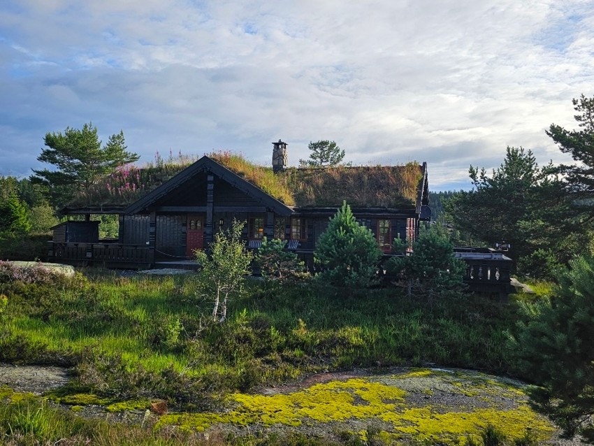 Meglerhuset Telemark v/ Lotte Strand Jonsmyr presenterer Sylvtjønn 104! Galleribilde