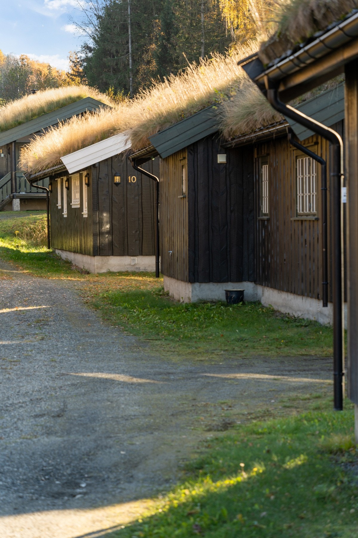 Tomten er naturlig opparbeidet med gruset adkomstvei og parkeringsareal rett utenfor hytta Galleribilde