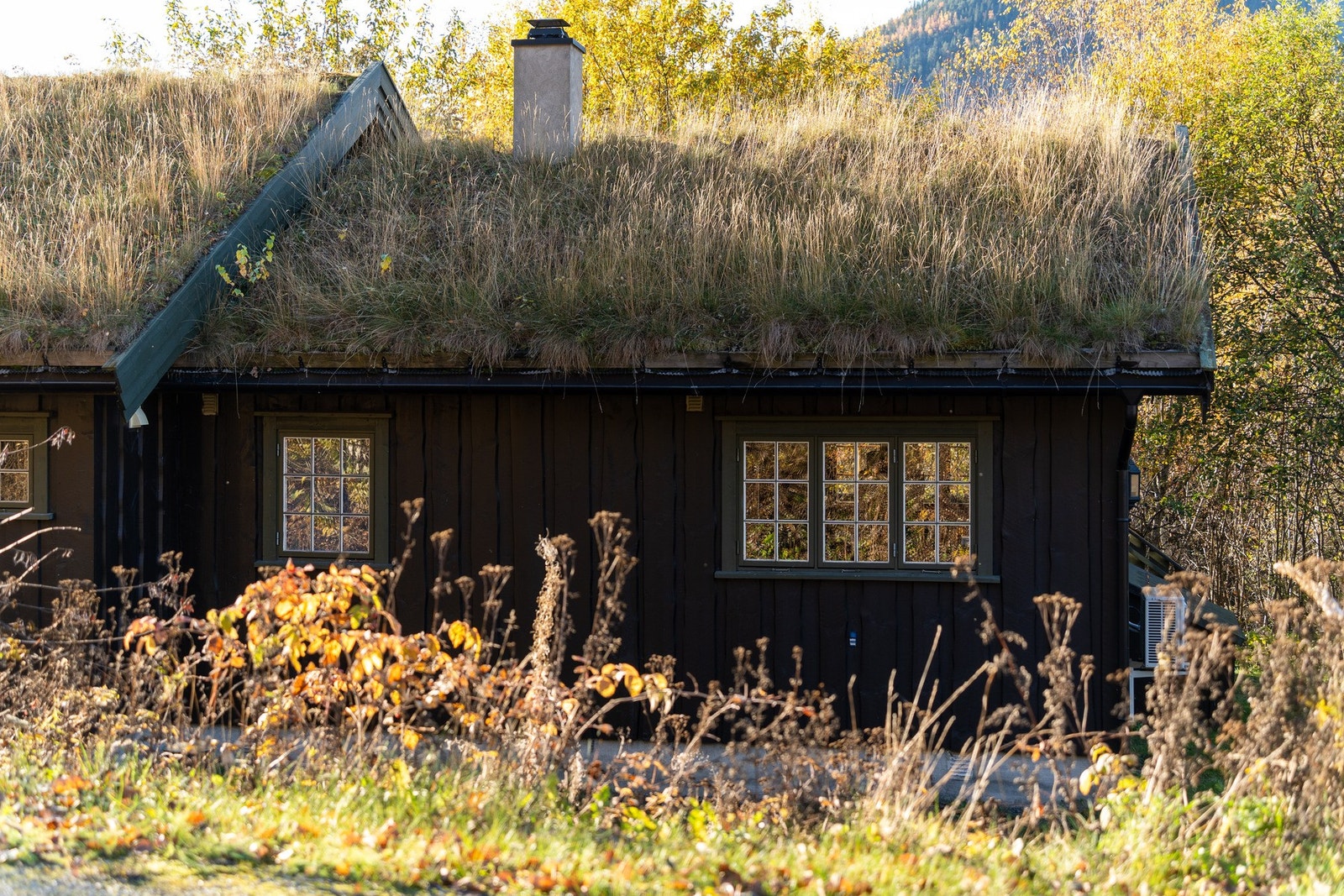 Taket er tekket med torv. Galleribilde