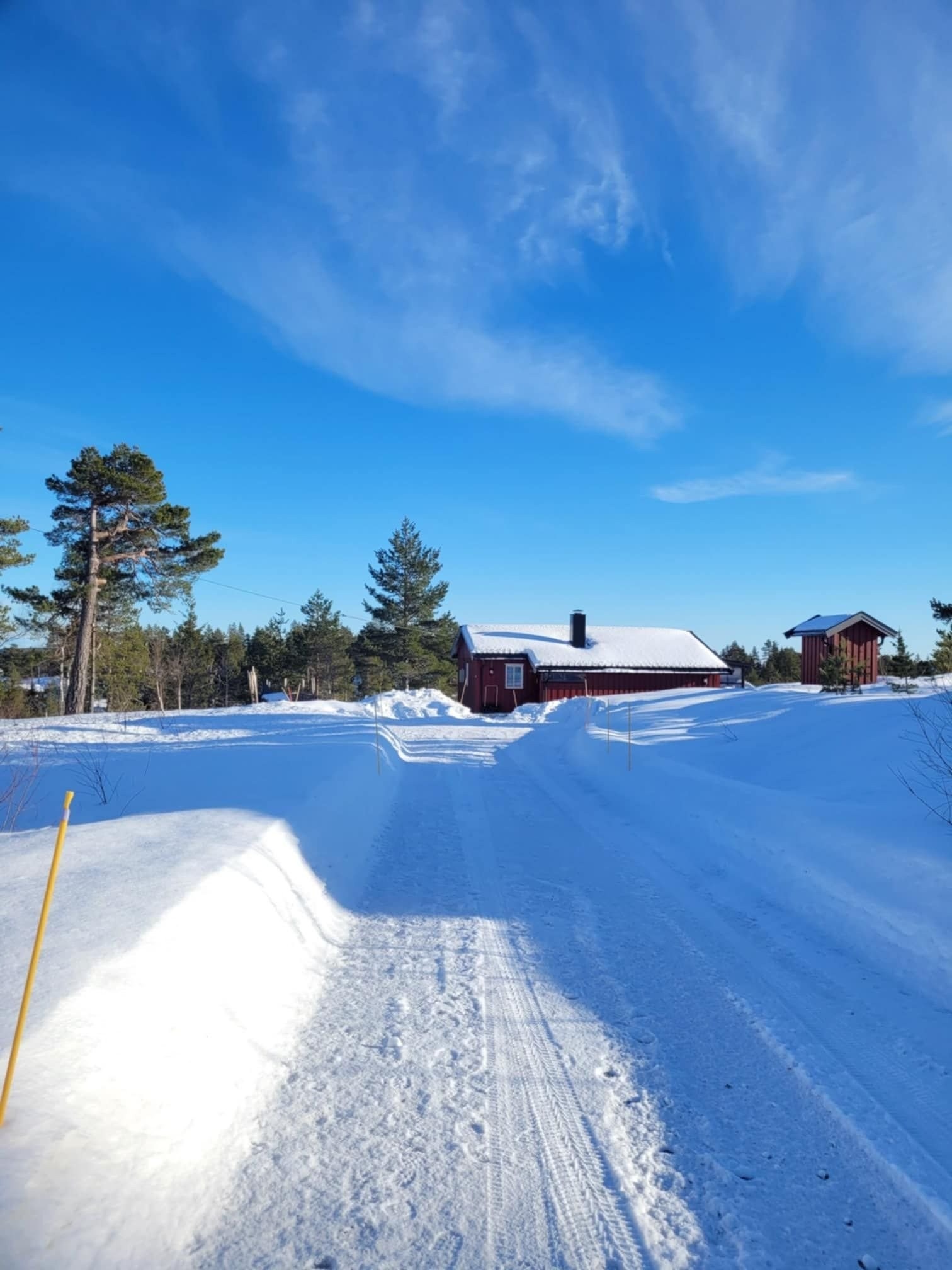 Vinterveien inn til hytten Galleribilde