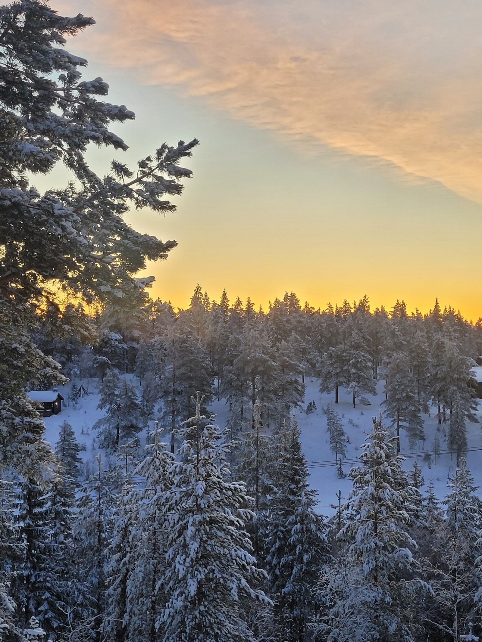 Vinterlykke når solen stiger opp bak trærne Galleribilde