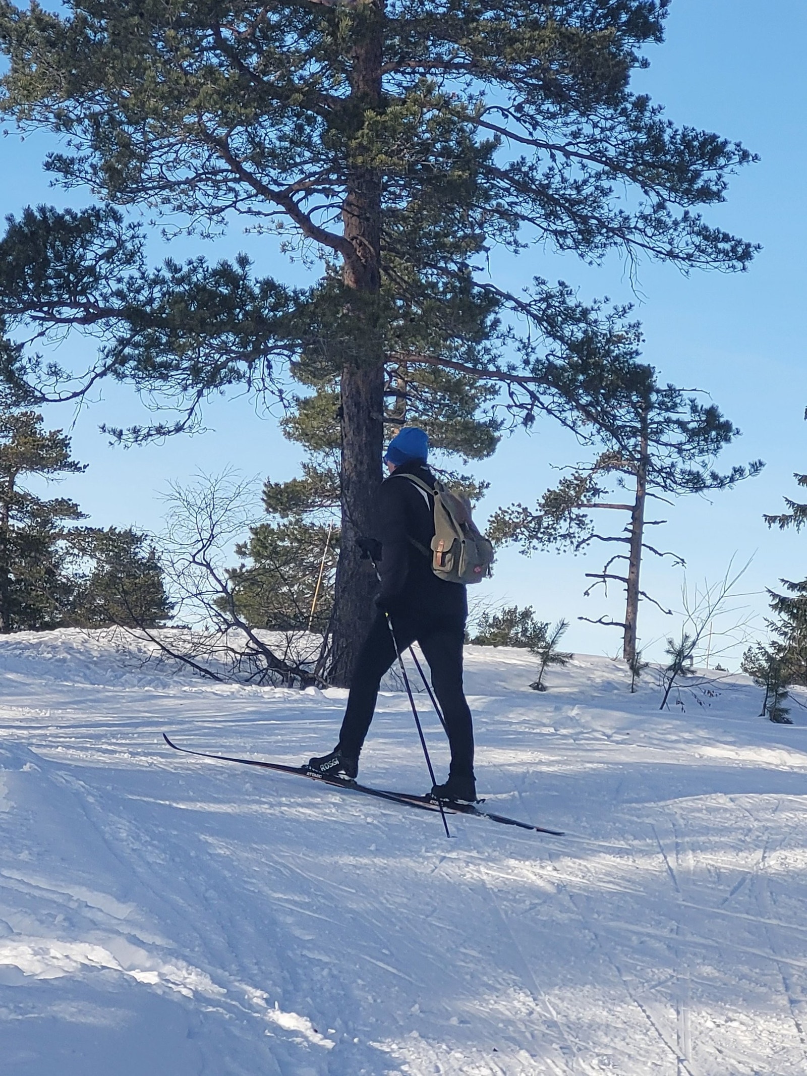 Ut på tur, nydelige skiløyper i området Galleribilde