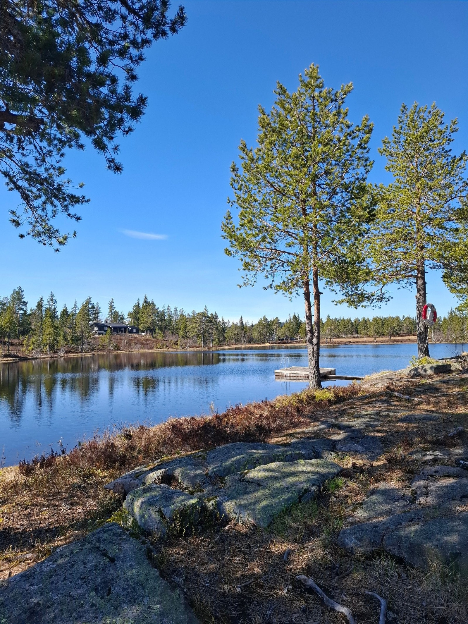Fine turområder Galleribilde
