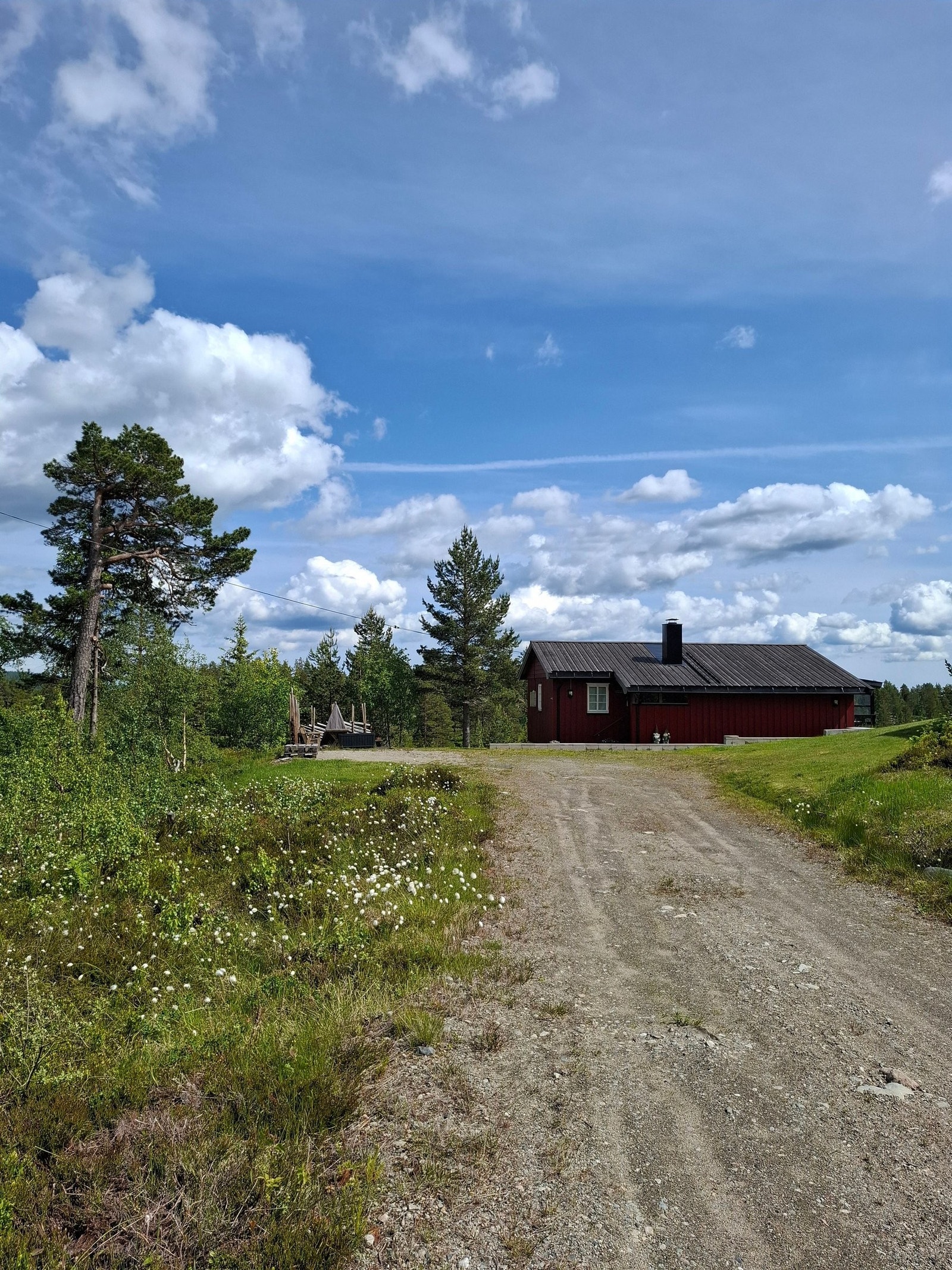 Sommerveien inn til hytten Galleribilde