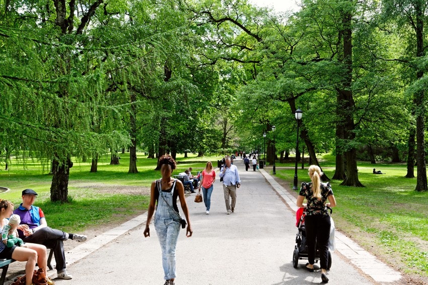 Kort vei til enda en park, Slottsparken Galleribilde