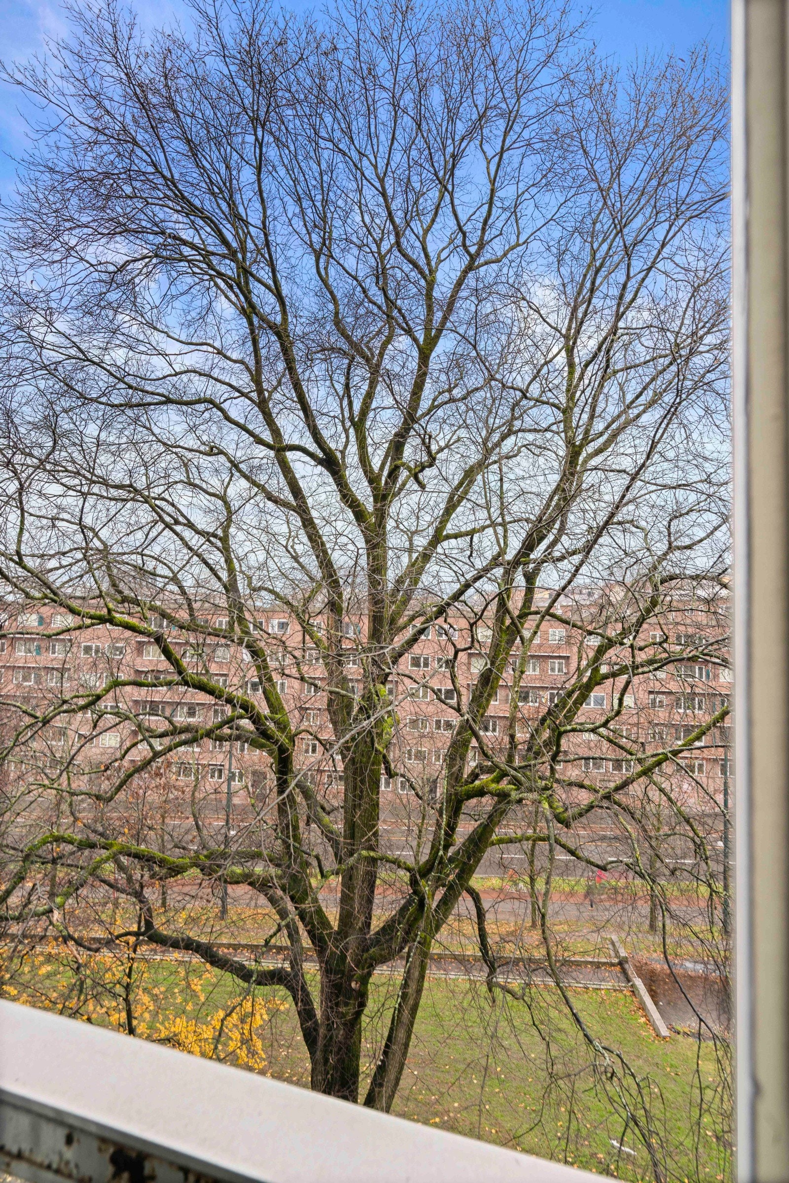 Grønn utsikt på sommerstid. Galleribilde