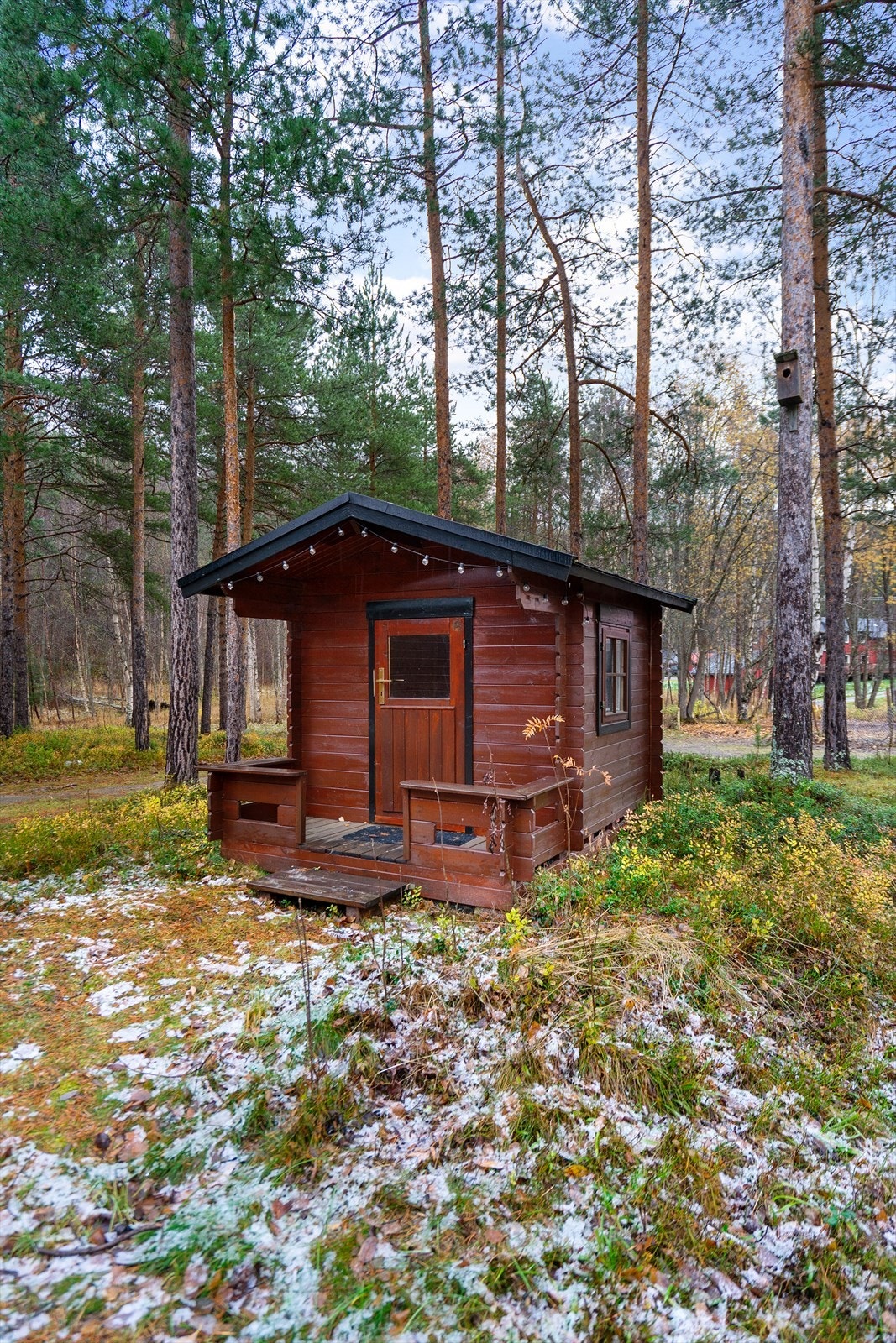 Sjarmerende liten lekestue omgitt av furutrær - et koselig fristed for barnas lek og fantasi Galleribilde