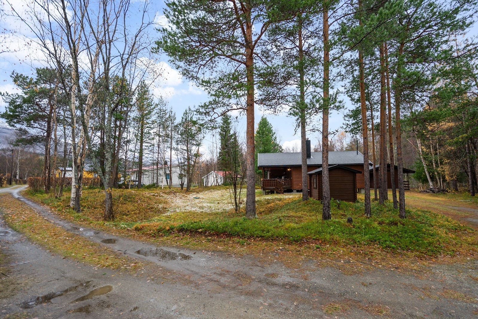 Romslig tomt med naturlig vegetasjon og god plass til både lek, grilling og friluftsliv Galleribilde