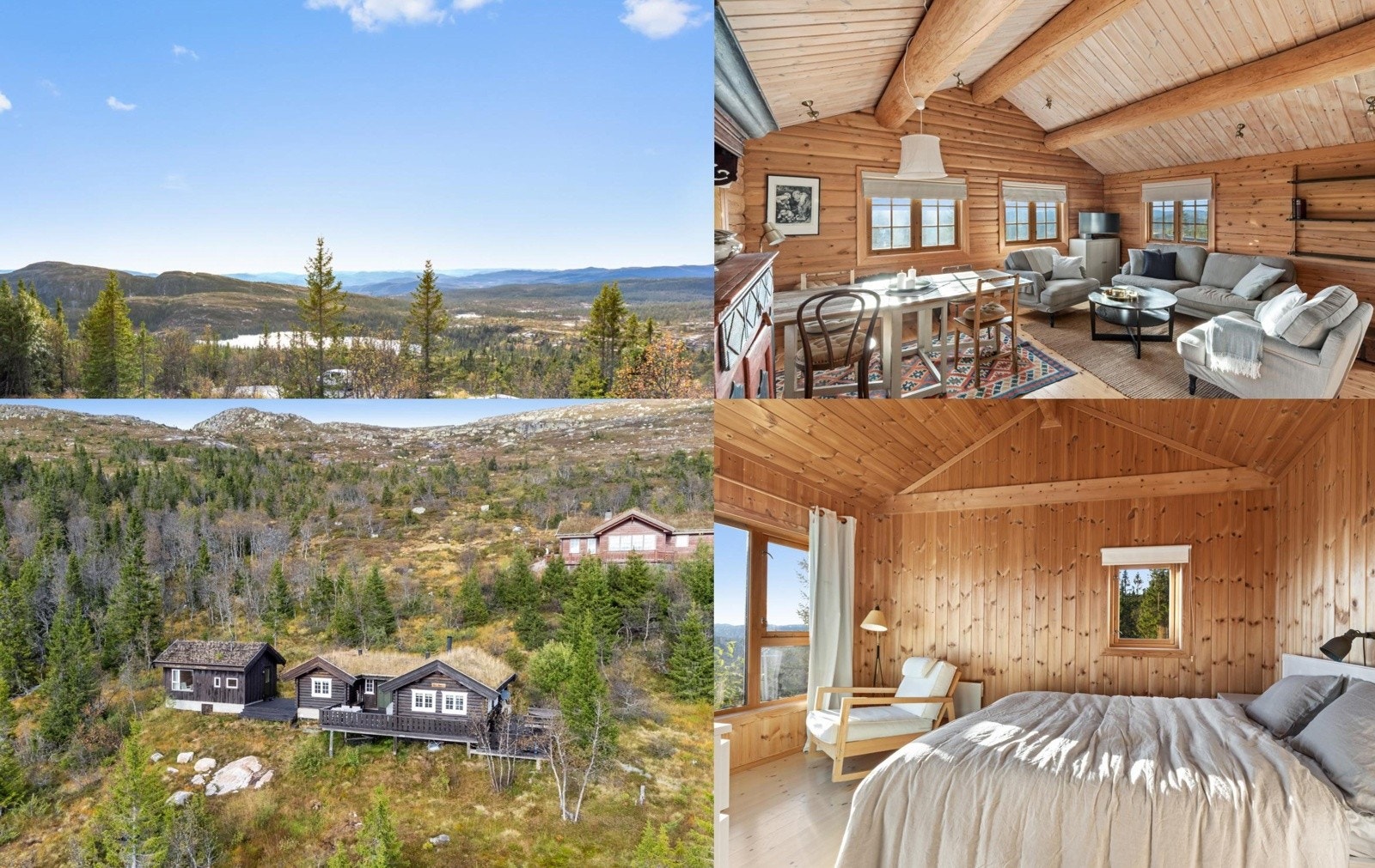 Skardsdalsvegen Galleribilde