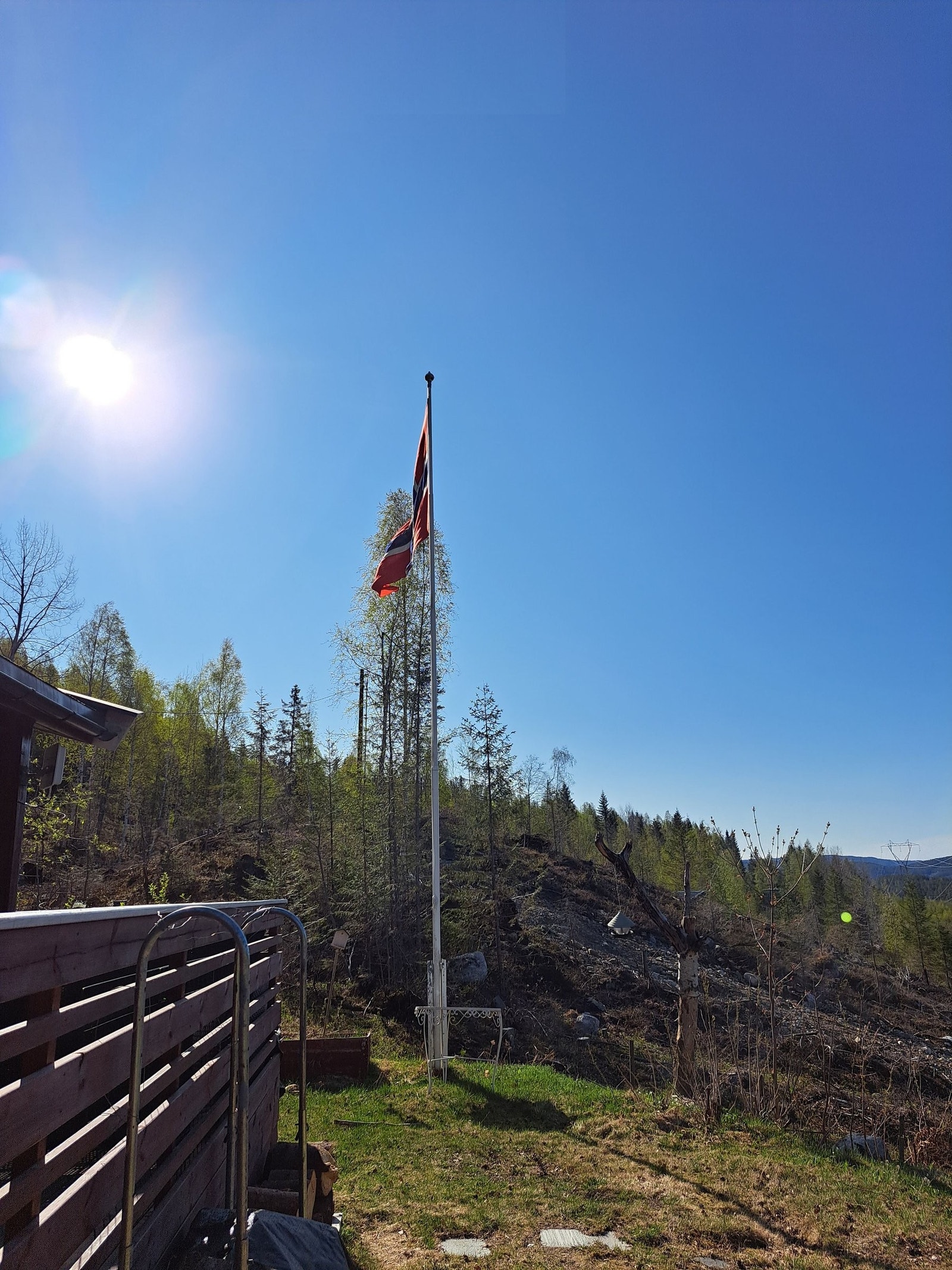 Flaggstang Galleribilde