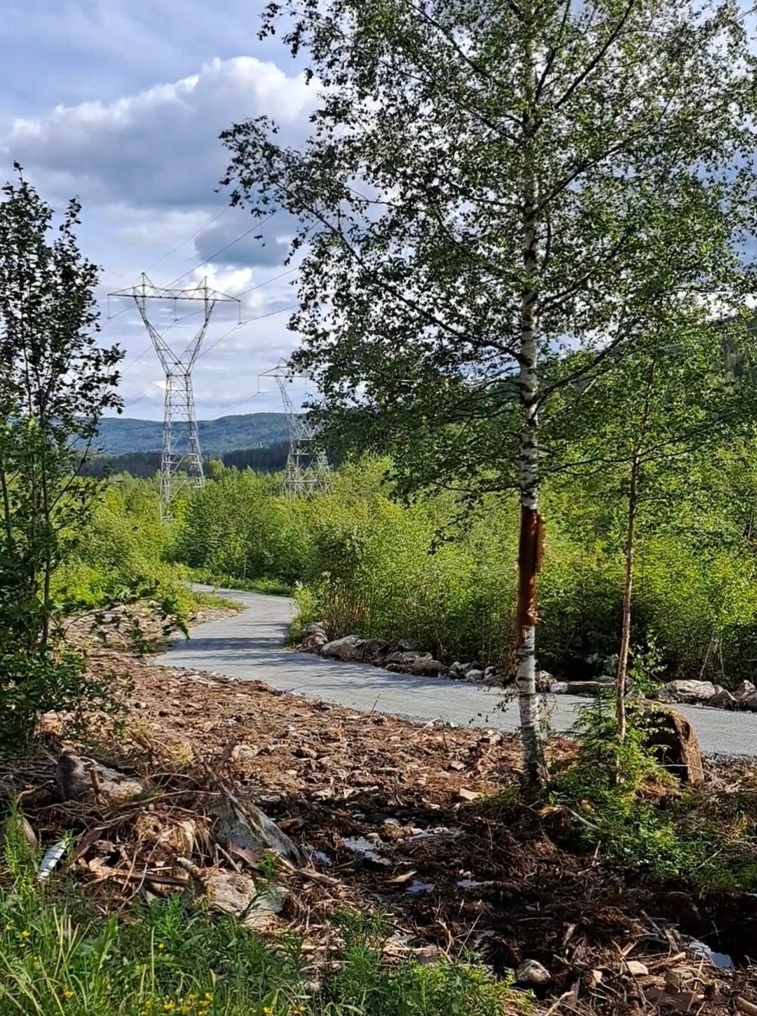 Ny vei opp til hytta Galleribilde