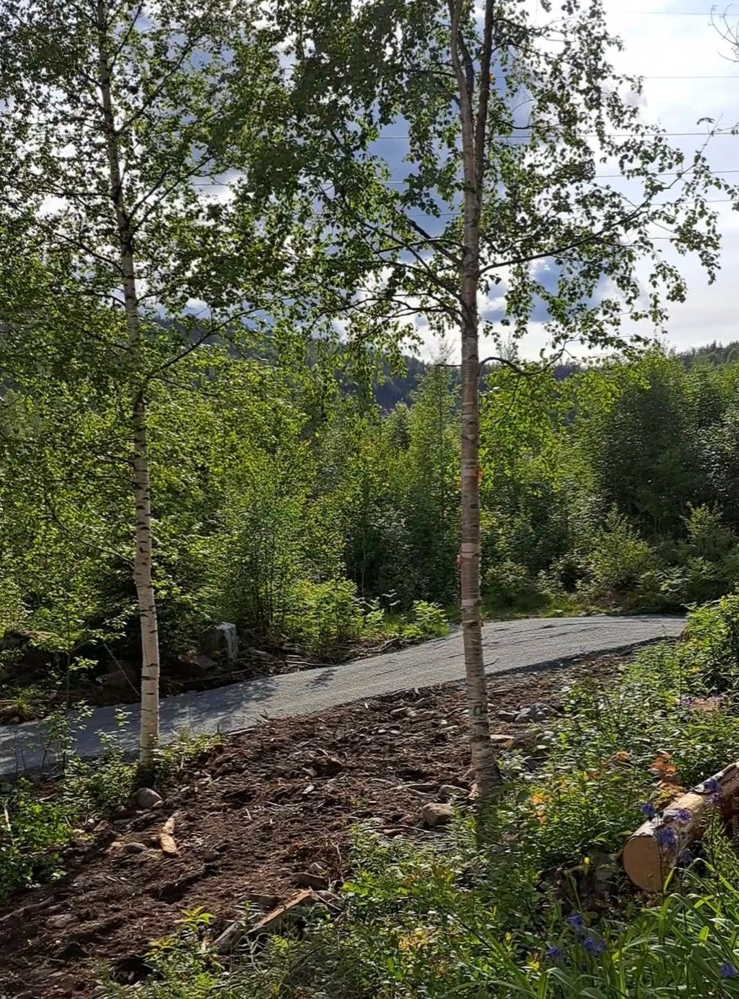 Ny vei opp til hytta Galleribilde