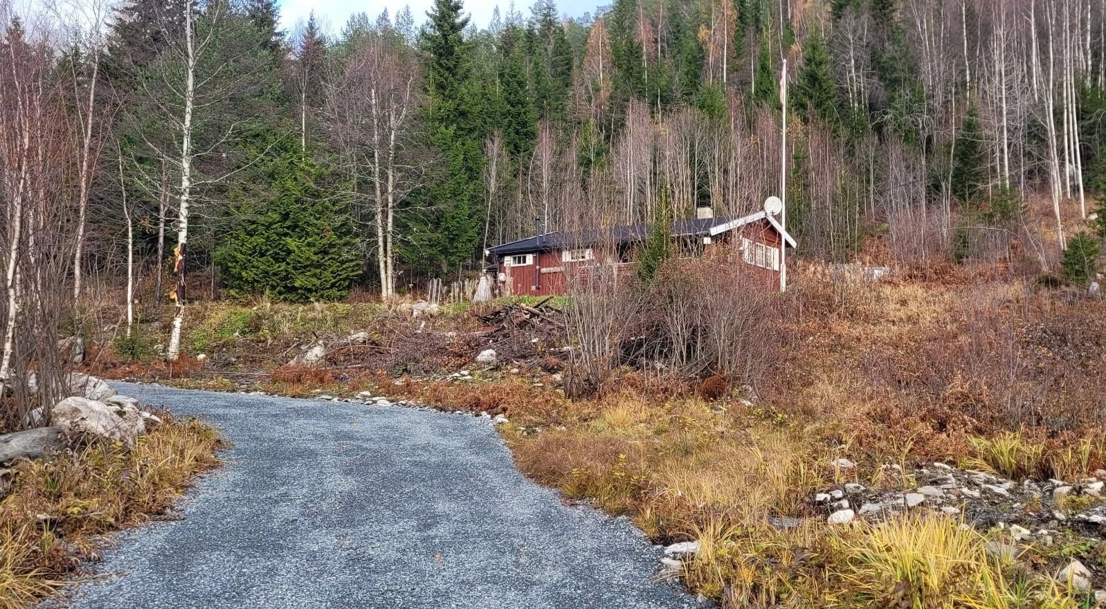 Veien opp til hytta Galleribilde