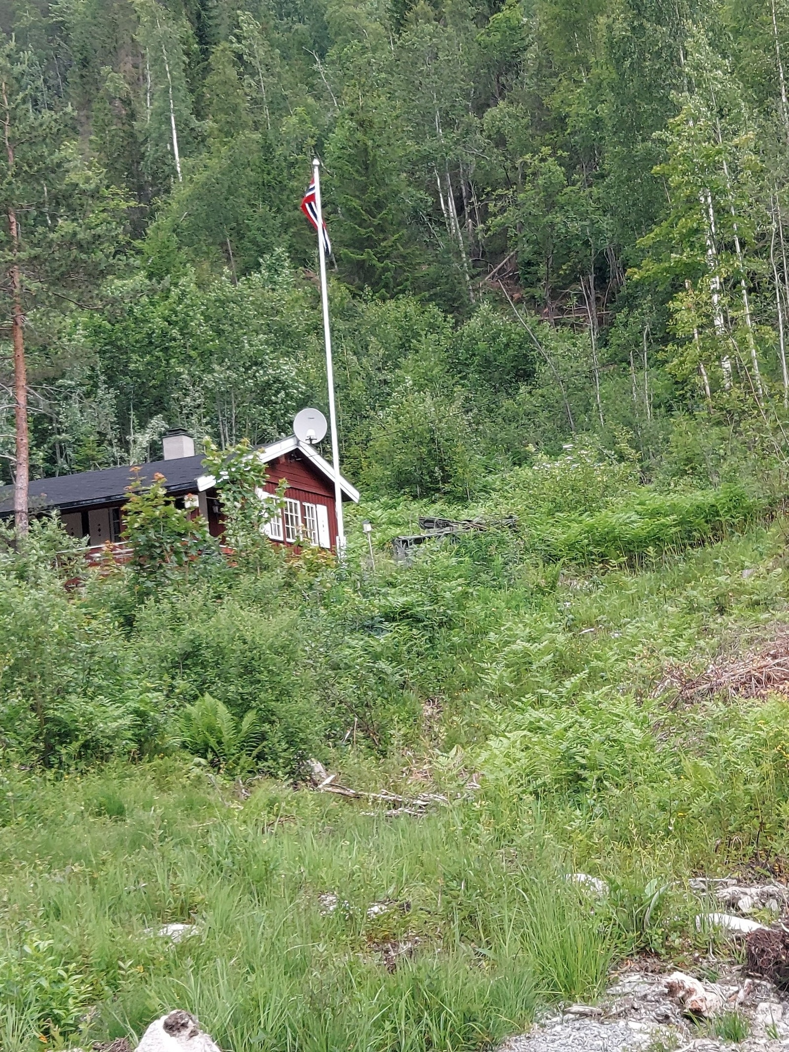 Hytta fra veien med mye vegetasjon Galleribilde