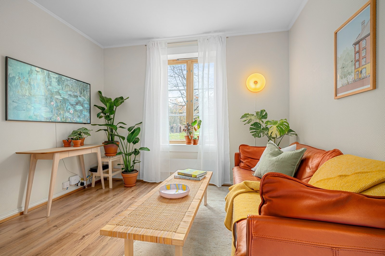 Slipp hagen inn i boligen din! Dekorer med grønne planter og du får en sunnere og bedre inneklima! Galleribilde