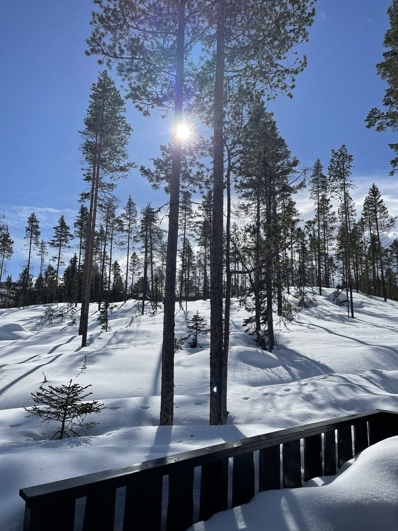 Vinterstemning. Galleribilde