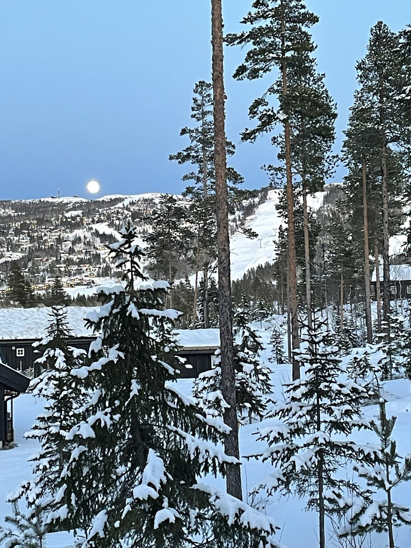 Utsikt mot alpinbakken. Galleribilde