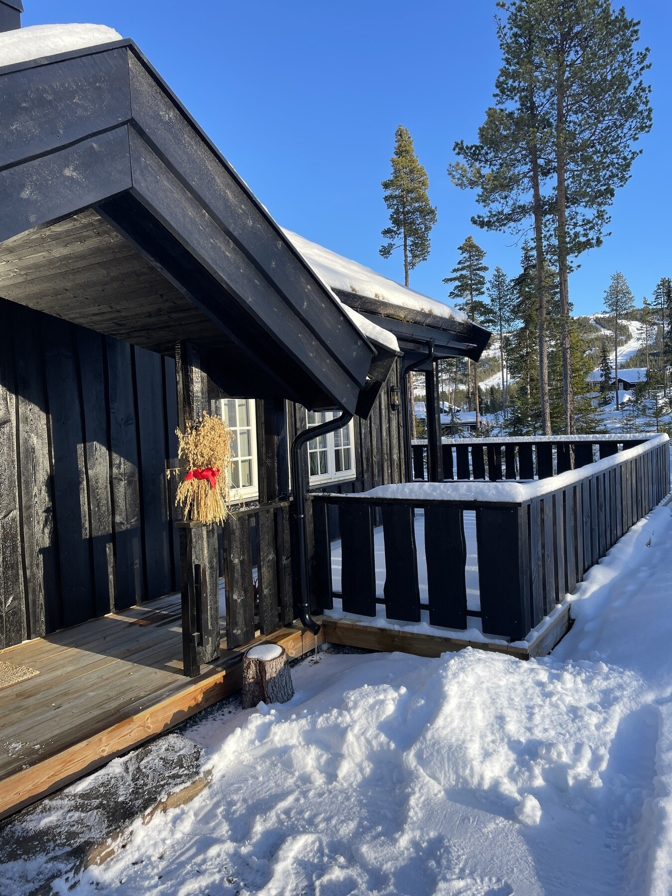 Vinterstemning. Galleribilde