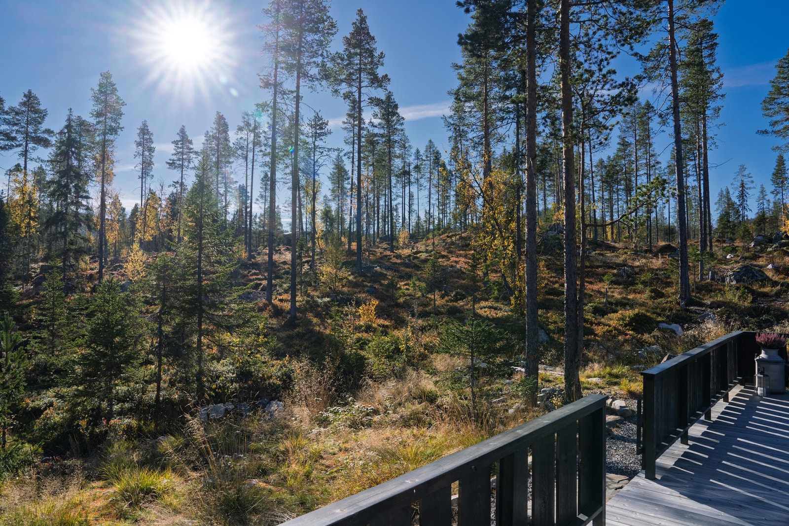 Solrik tomt, med friareal som nærmeste nabo! Galleribilde
