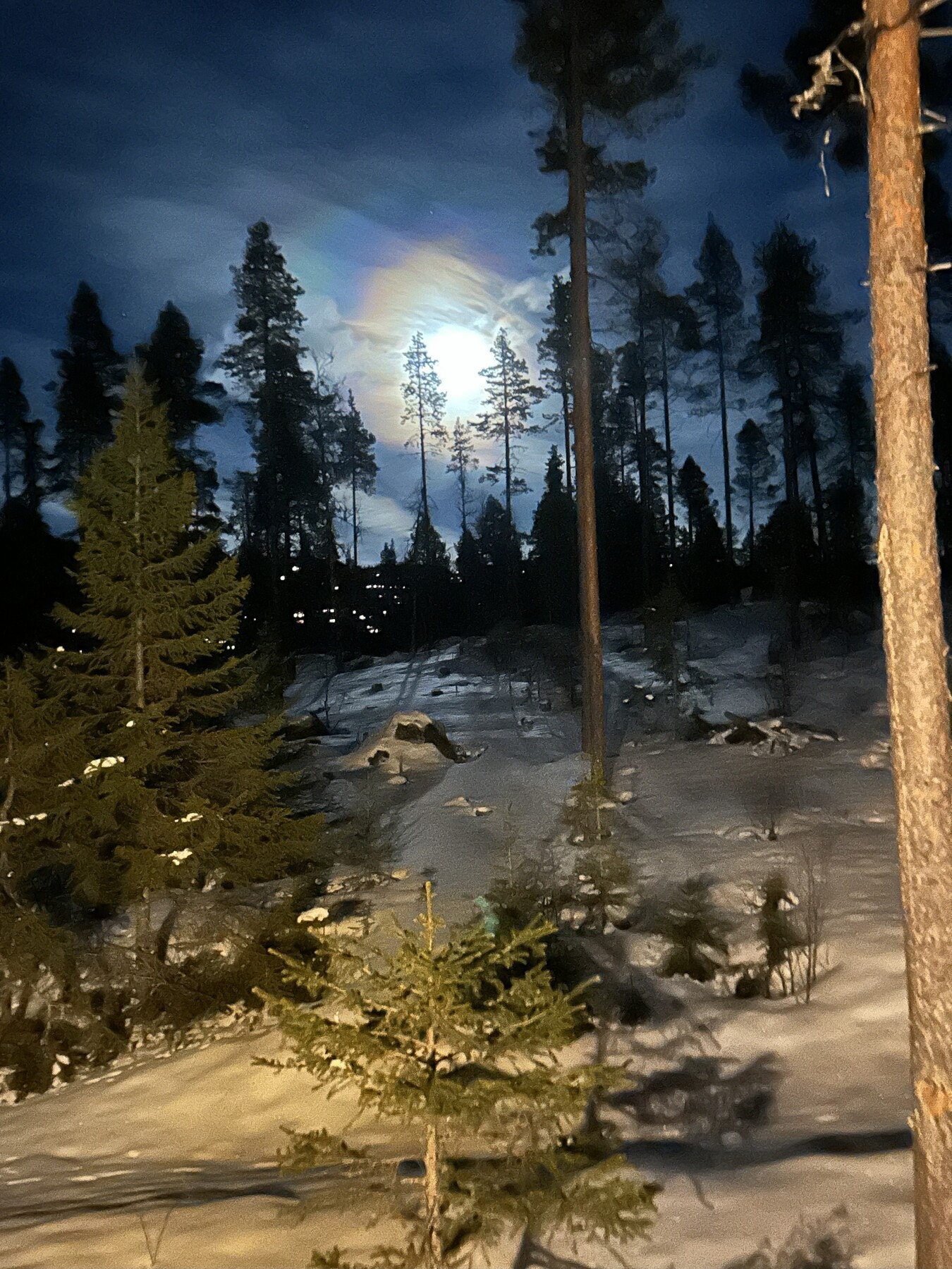 Måneskinn. Galleribilde