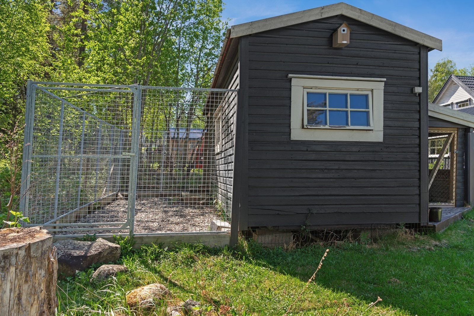 Hundehus. Galleribilde