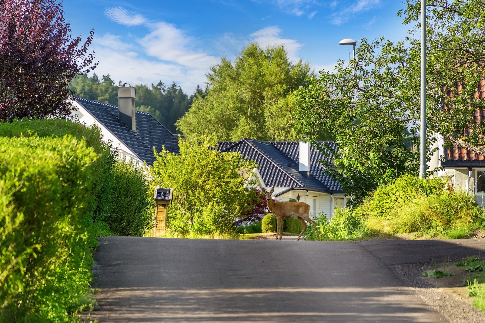 17fasade Galleribilde