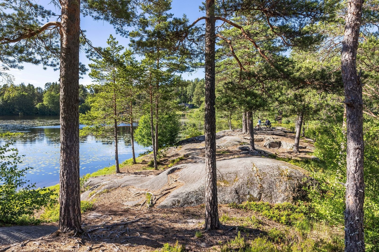 Med trillevei til både Lutvann og Østmarka har du enkel tilgang til flotte tur- og rekreasjonsområder - ideelt for både småbarnsfamilier og friluftsinteresserte. Galleribilde